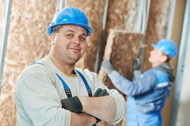 Best Attic Insulation Near Me  in Atlanta, IL